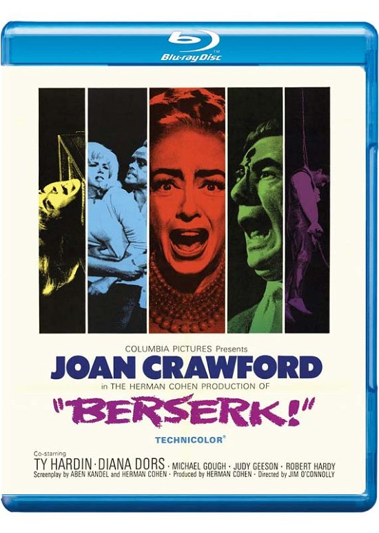 Cover for Berserk (Blu-ray) (2022)
