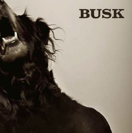 Cover for Busk · Nur Eins (CD) (2013)