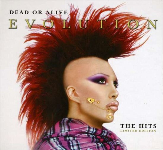 Cover for Dead or Alive · Evolution (CD) (2003)