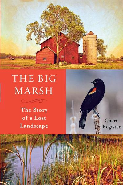 Cover for Cheri Register · The Big Marsh (Book) (2016)