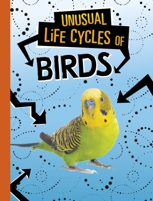 Cover for Jaclyn Jaycox · Unusual Life Cycles of Birds - Unusual Life Cycles (Paperback Bog) (2023)