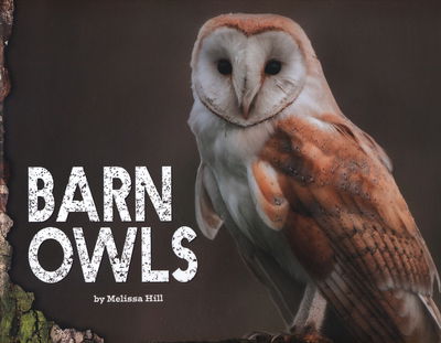 Cover for Melissa Hill · Barn Owls (Hardcover Book) (2015)