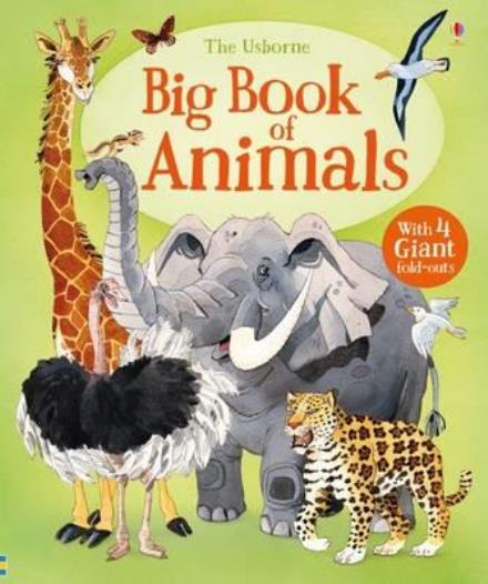 Big Book of Animals - Big Books - Hazel Maskell - Kirjat - Usborne Publishing Ltd - 9781474928953 - lauantai 1. huhtikuuta 2017