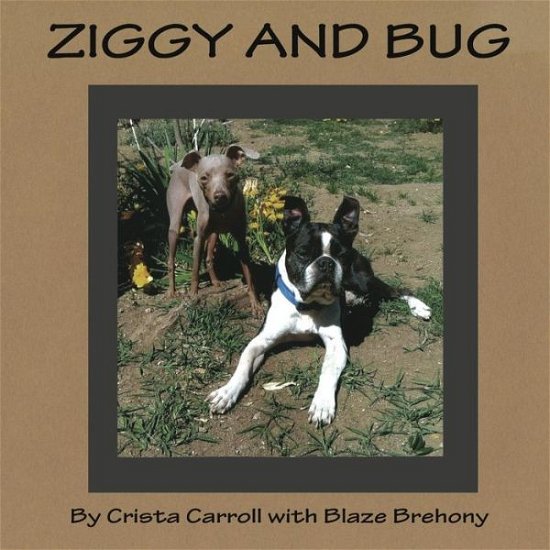 Cover for Blaze Brehony · Ziggy and Bug (Paperback Bog) [Lrg edition] (2013)