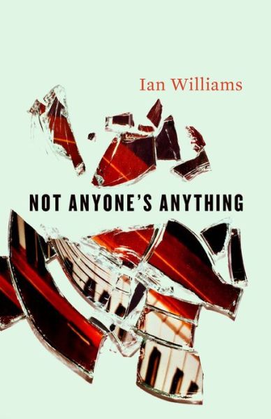 Not Anyone's Anything: Short Stories - Ian Williams - Książki - Broadview Press Ltd - 9781551119953 - 30 marca 2011