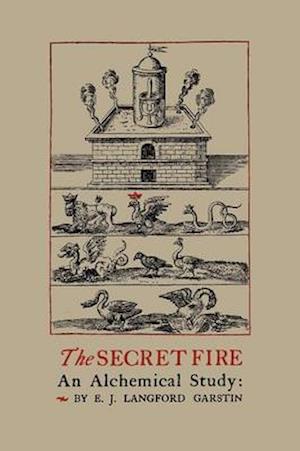 Cover for E J Langford Garstin · The Secret Fire (Paperback Book) (2012)