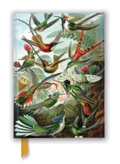 Cover for Flame Tree Studio · Ernst Haeckel: Hummingbirds (Foiled Journal) - Flame Tree Notebooks (Stationery) (2022)