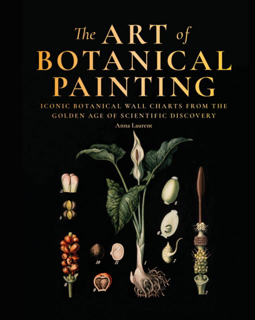 The Art of Botanical Painting: Iconic botanical wall charts from the golden age of scientific discovery - Anna Laurent - Books - Octopus Publishing Group - 9781840918953 - August 11, 2016