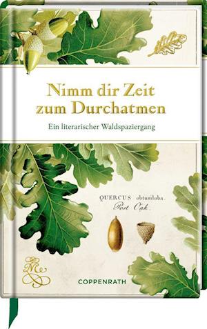 Nimm dir Zeit zum Durchatmen - Coppenrath F - Boeken - Coppenrath F - 9783649636953 - 1 juli 2020