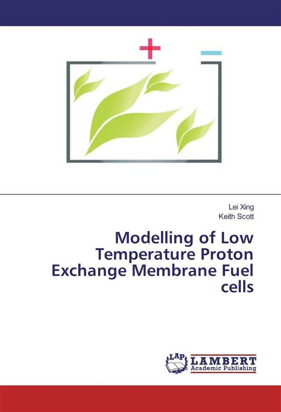 Cover for Xing · Modelling of Low Temperature Proto (Book)