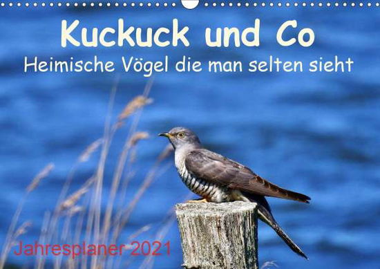 Cover for Schaack · Kuckuck und Co - Heimische Vöge (Bok)