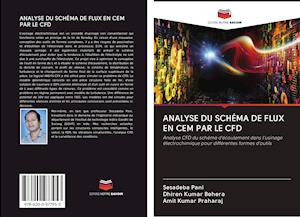 Cover for Pani · Analyse Du Schéma De Flux en Cem P (Bok)