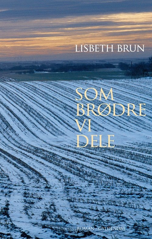 Cover for Lisbeth Brun · Som brødre vi dele (Sewn Spine Book) [1º edição] (2012)