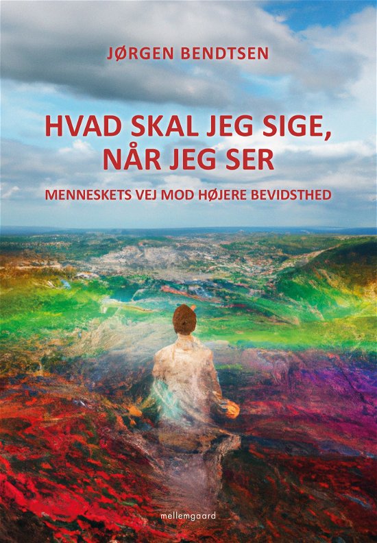 Cover for Jørgen Bendtsen · Hvad skal jeg sige, når jeg ser? (Sewn Spine Book) [1e uitgave] (2023)