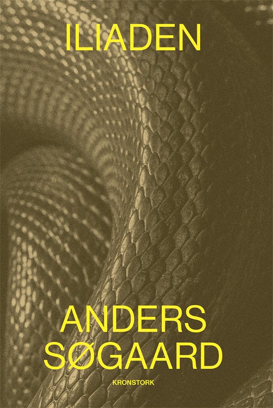 Cover for Anders Søgaard · Iliaden (Sewn Spine Book) [1st edition] (2023)