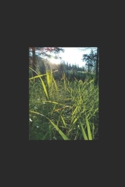 Cover for Katelin Rogaczewski · Lilies in the Weeds (Paperback Book) (2021)