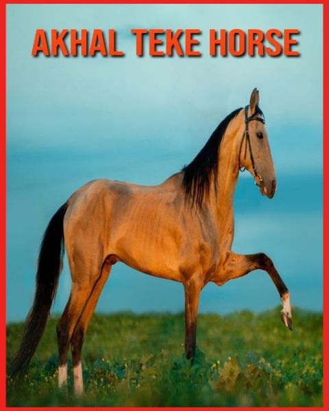 Cover for Linda Davis · Akhal Teke Horse (Paperback Book) (2021)