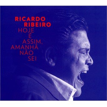 Hoje E Assim Amanha Nao Sei - Ricardo Ribeiro - Musikk - L'AUTRE - 3521383441954 - 3. februar 2017