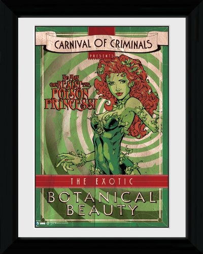 Cover for Dc Comics: Batman Comic · Dc Comics: Batman Comic - Circus Poison Ivy (Stampa In Cornice 30x40cm) (CD)