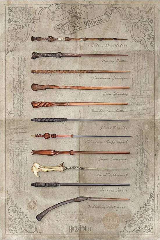 HARRY POTTER - Poster 61x91 - The Wand chooses the - Pyramid International - Merchandise - Pyramid Posters - 5050574343954 - 1. Februar 2021