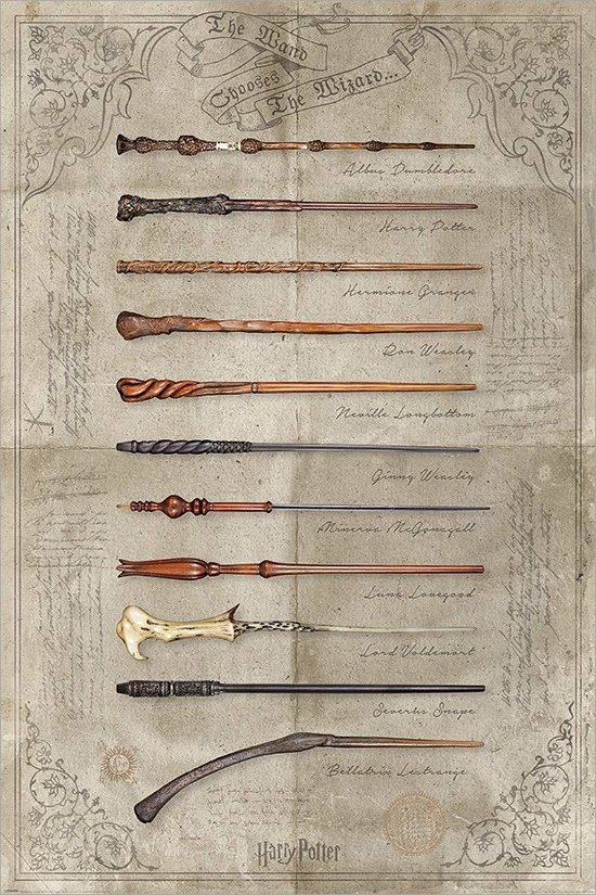 Cover for Pyramid International · HARRY POTTER - Poster 61x91 - The Wand chooses the (Plakat) (2021)