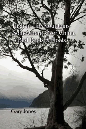 Cover for Gary Jones · High in the Mountains Somewhere over China, a Bird Reels &amp; Floats (Paperback Book) (2009)