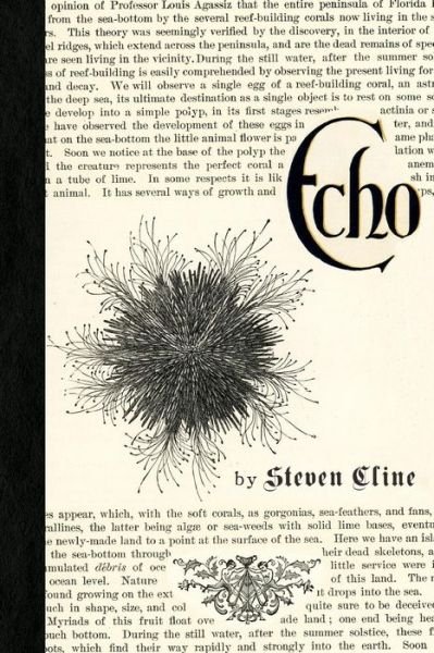 Steven Cline · Echo & Other Fragments (Pocketbok) (2017)