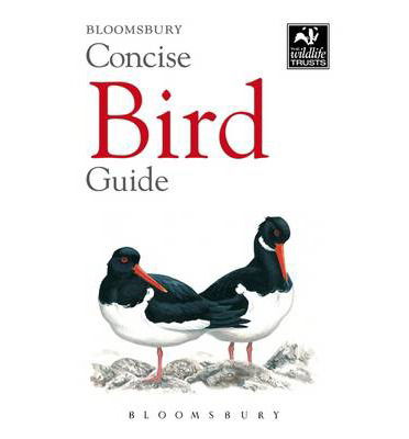 Cover for Bloomsbury · Concise Bird Guide (N/A) (2014)