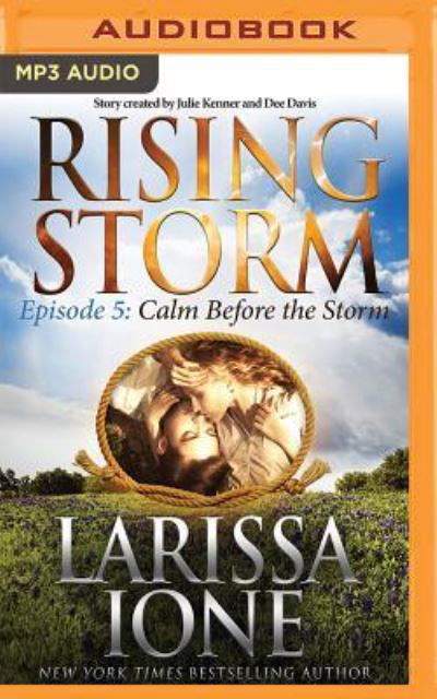 Cover for Larissa Ione · Calm Before the Storm (MP3-CD) (2016)