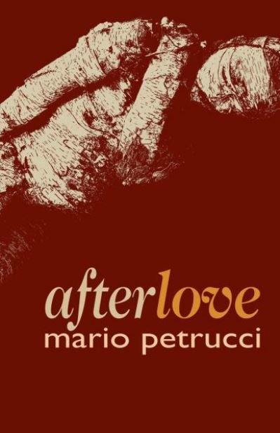 Cover for Mario Petrucci · Afterlove (Paperback Book) (2020)