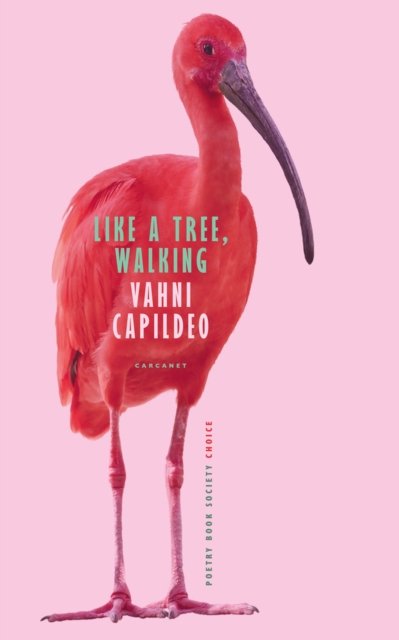 Cover for Vahni Capildeo · Like a Tree, Walking (Pocketbok) (2021)