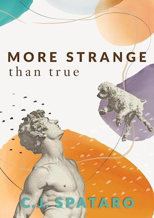 More Strange Than True - C. J. Spataro - Books - Sagging Meniscus Press - 9781952386954 - June 24, 2024