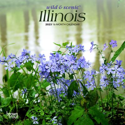 Cover for Browntrout · Illinois Wild &amp; Scenic 2023 Mini 7x7 (Calendar) (2023)