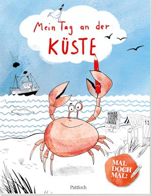 Mal doch mal! - Mein Tag an der Küste - Marion Goedelt - Książki - Pattloch Geschenkbuch - 9783629008954 - 1 marca 2023