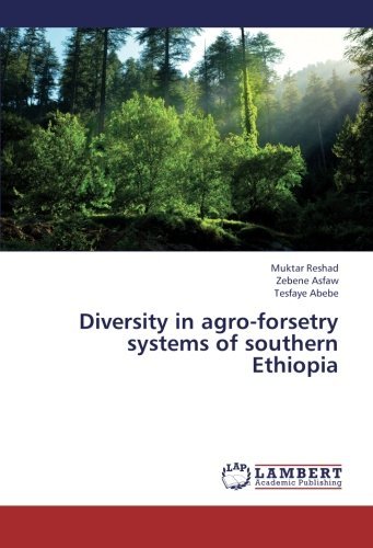 Cover for Tesfaye Abebe · Diversity in Agro-forsetry Systems of Southern Ethiopia (Taschenbuch) (2013)