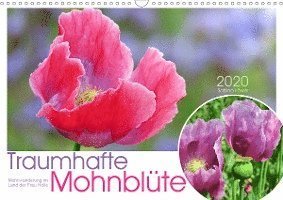 Cover for Löwer · Traumhafte Mohnblüte (Wandkalende (Buch)