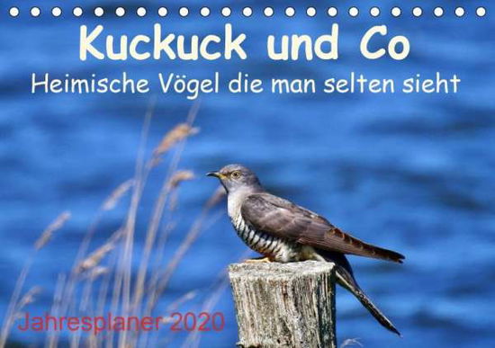 Cover for Schaack · Kuckuck und Co - Heimische Vöge (Bok)