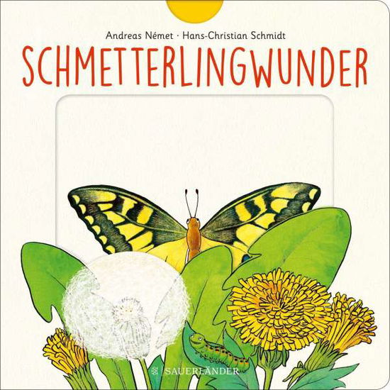 Cover for Schmidt · Schmetterlingwunder (Toys)