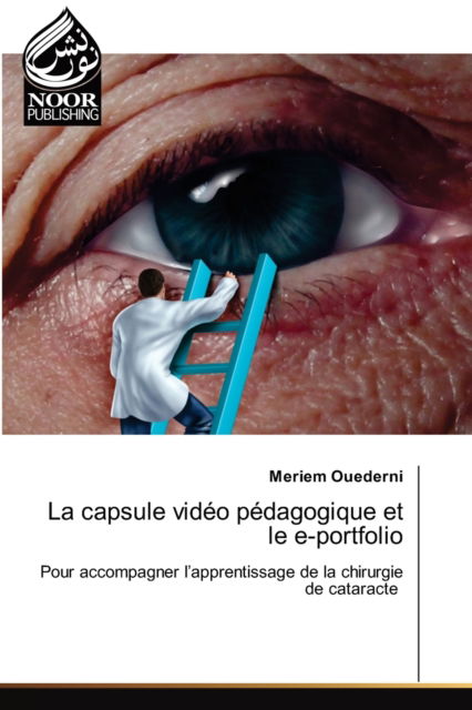 Cover for Meriem Ouederni · La capsule video pedagogique et le e-portfolio (Paperback Book) (2021)