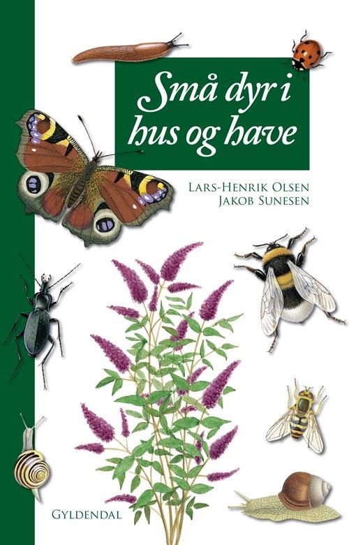 Cover for Lars-Henrik Olsen · Små dyr i hus og have (Bound Book) [3e édition] [Indbundet] (2009)