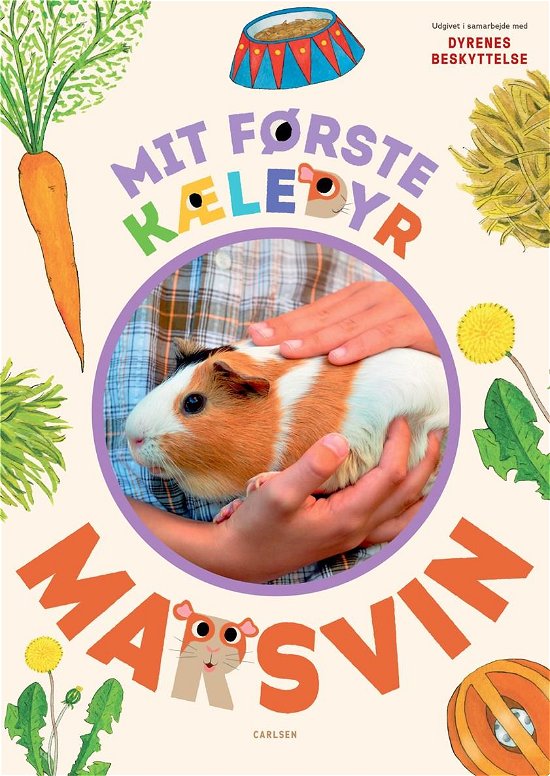 Cover for Anja Vensild Hørnell · Mit første kæledyr - marsvin (Bound Book) [1.º edición] (2022)