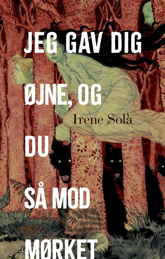 Cover for Irene Solà · Jeg gav dig øjne, og du så mod mørket (Bound Book) [1st edition] (2025)