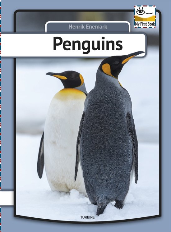 Cover for Henrik Enemark · My first book: Penguins (Inbunden Bok) [1:a utgåva] (2019)