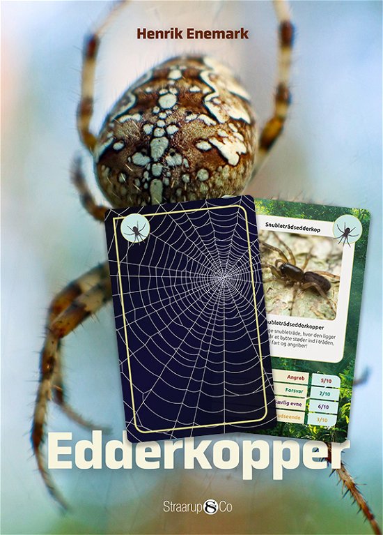 Cover for Henrik Enemark · Spil &amp; Læs: Spil &amp; Læs - Edderkopper (Hardcover Book) [1er édition] (2021)
