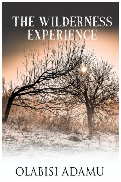 Cover for Olabisi Adamu · The Wilderness Experience (Paperback Book) (2020)