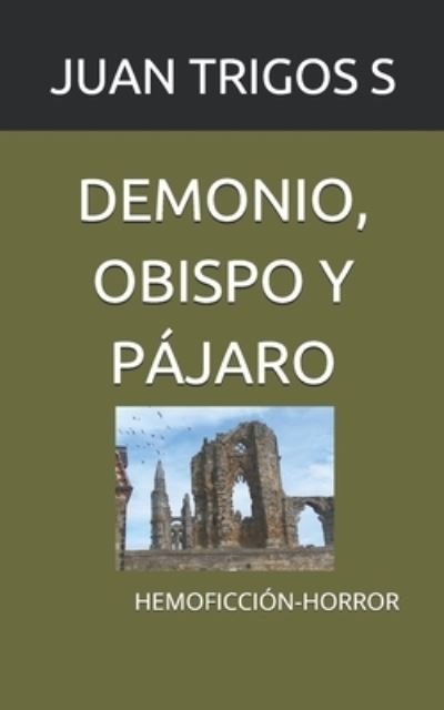 Cover for Juan Trigos S · Demonio, Obispo Y Pajaro (Paperback Book) (2020)