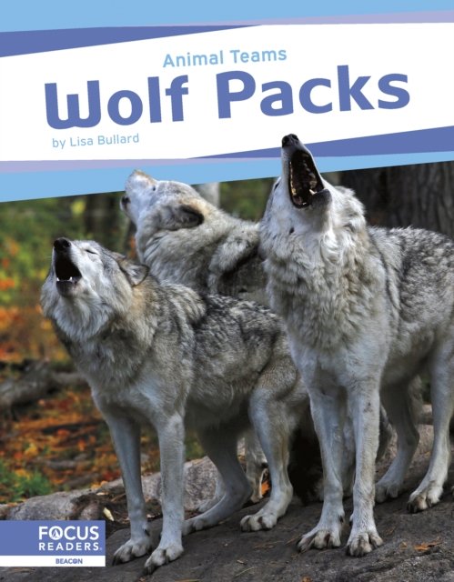 Cover for Lisa Bullard · Wolf Packs - Animal Teams (Gebundenes Buch) (2024)