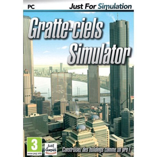 Cover for Pc Dvd Rom · Gratte-Ciel Simulator (PC) (2019)
