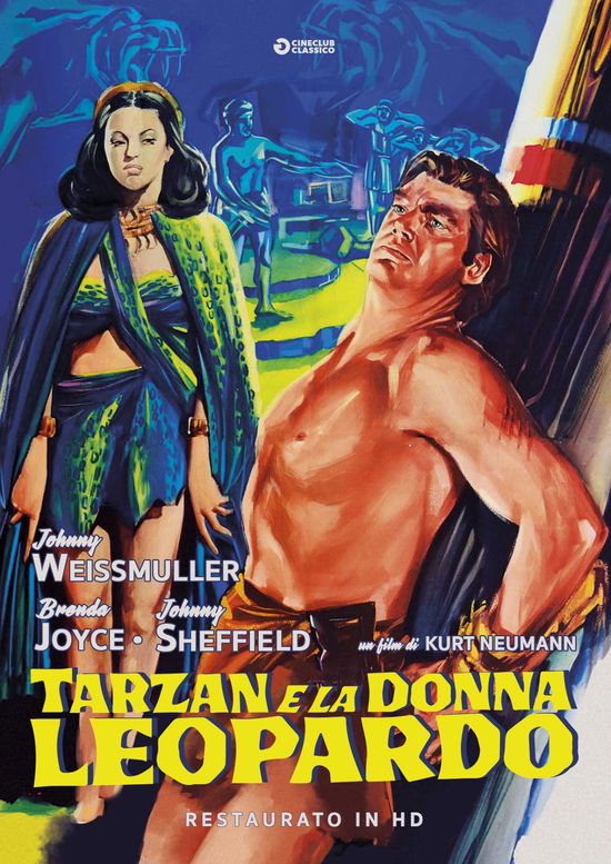 Cover for Tarzan E La Donna Leopardo (Re (DVD) (2019)