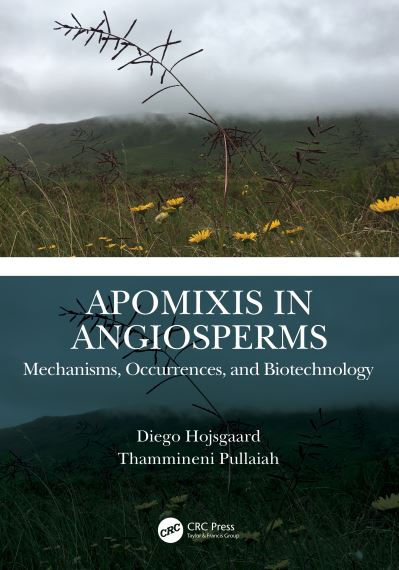 Cover for Hojsgaard, Diego (University of Goettingen, Germany) · Apomixis in Angiosperms: Mechanisms, Occurrences, and Biotechnology (Hardcover Book) (2022)